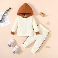 Baby Boy 2 Pieces Color-block Hooded Sweater & Pants  Beige