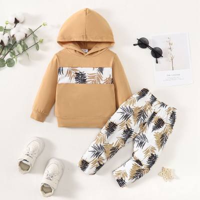 Baby Boy 2 Pieces Tropical Pattern Hooded Sweater & Pants