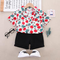 2-piece Toddler Boy Allover Floral Short Sleeve Shirt & Solid Color Shorts  Red