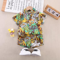 Camisa de manga corta con estampado floral de algodón puro para niños pequeños de 2 piezas y pantalones cortos a juego  Verde