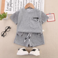2-piece Toddler Boy Pure Cotton Solid Color Pocket Front Short Sleeve T-shirt & Matching Shorts  Gray