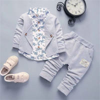Beliebter Frühlingsstil für Säuglinge und Kleinkinder, voll bedruckte dreiteilige Weste aus blau-weißem Porzellan, langärmeliger Anzug  Grau