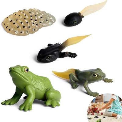 Wholesale of simulated animal models, chickens, ducks, geese, butterflies, turtles, frogs, growth cycles, Montessori teaching aids, hand held ornaments