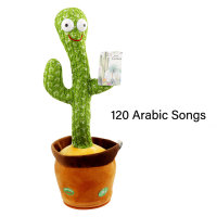 Kaktus, der 120 arabische Lieder singen kann und die Aufnahme kann?  Style2
