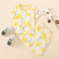 Toddler Boy Cotton Spandex Cartoon Casual T-shirt & Shorts Pajamas  Style 3