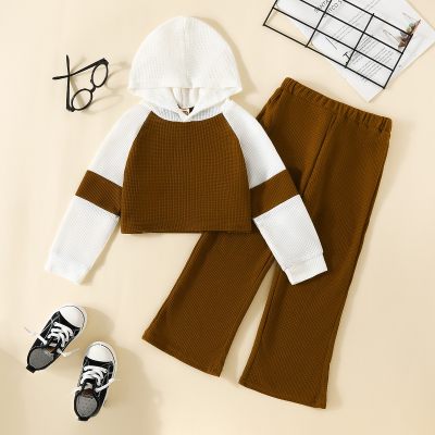 Sudadera con capucha y pantalones sueltos de color sólido de 2 piezas para niña pequeña