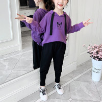 Kid Girl Butterfly Pattern Hoodie Sweater & Pants  Purple