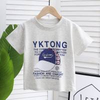 2024 new iceberg cotton children's short-sleeved T-shirt boys and girls summer baby half-sleeved trendy one-piece drop shipping  Gray
