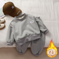 2-teiliges einfarbiges Langarm-T-Shirt-Set für Kleinkinder und Jungen  Grau