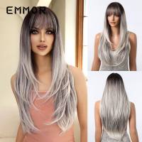 Perruques pour femmes cosplay haut niveau dégradé gris frange cheveux longs raides mode naturelle vente directe d'usine perruques pleine tête  Style 1