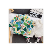 Camisas para hombres, camisas de verano, tops estilo Hong Kong, conjunto de dos piezas de ropa de niña de moda de estilo coreano de manga corta para niños de playa  Verde