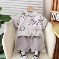 2024 Summer Boys and Girls Panda National Style Short-sleeved Children's Clothing National Style Two-piece Children's Suit Infant Summer Clothing  Gray