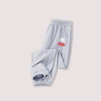 2024 new summer boys quick-drying pants elastic thin children's anti-mosquito pants medium and large children's sports ice silk pants  Gray