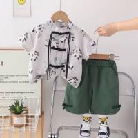 Boys summer Tang suit suit 2024 new new Chinese children's shirt retro Hanfu short-sleeved summer children's clothing trend  Gray