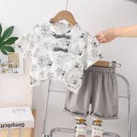 Summer new fashion panda garden button short-sleeved suit for children and middle-aged children, foreign style Chinese style short-sleeved suit for boys  Gray