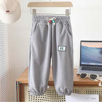 Boys and girls pants spring and autumn casual pants  Gray