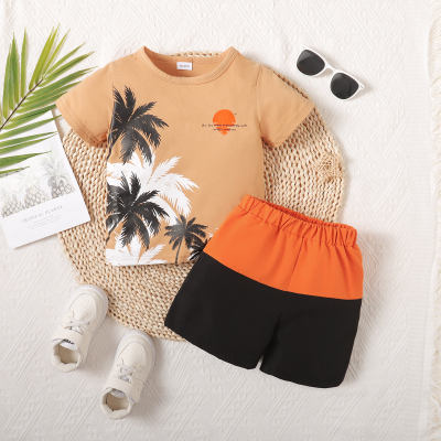 Camiseta de manga corta con estampado de árbol de coco para niño pequeño de 2 piezas y pantalones cortos con bloques de color