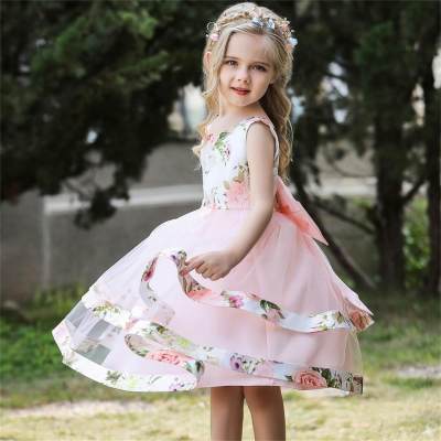 Kid Girl Floral Print Mesh Dress