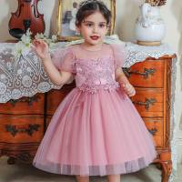 Toddler Embroidered Mesh Bowknot Decor Puff Sleeve Dress  Multicolor