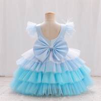Toddler Girls Bowknot Patchwork Mesh Color-block  Formal Dress  Light Blue