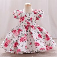 Kid Girl Allover Floral Embroidered Bowknot Decor Puff Sleeve Dress  White