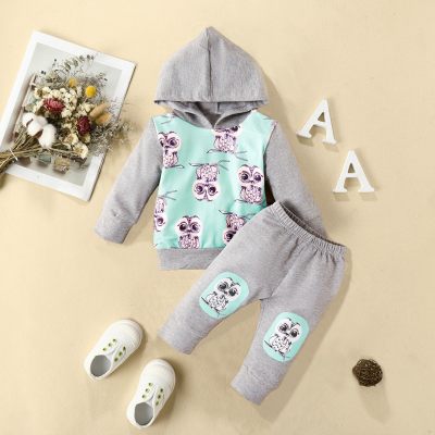 Baby Animal Printed Color Block Stripes Hooded Sweater & Pants