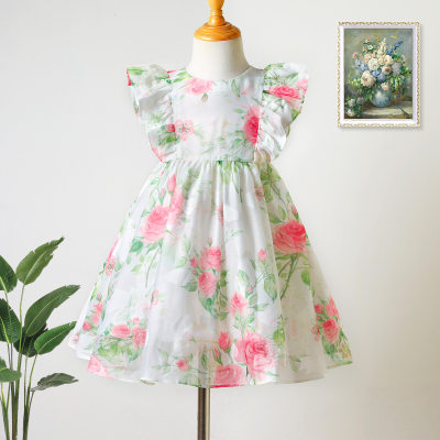 Toddler Girl Rose Flower Princess Style Dress