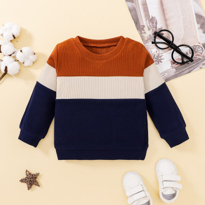 Toddler Boy Color-block Ribbed Knitted Sweater