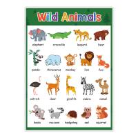 children education poster，English learning theme cognitive time fruit color animal body  Green