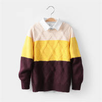 Kid Boy Color-block Textured Knitted Sweater  Yellow