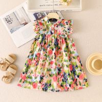 Toddler Girl Allover Floral Printed Sleeveless Dress  Floral color