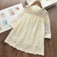 Summer girls lace embroidered dress spring and summer new children's soft princess dress  Beige