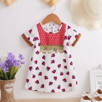 Baby Girl Clashing Lace Floral Dress  White