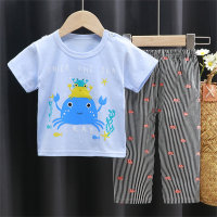Girls Summer Air Conditioned Clothes Short Sleeves Long Pants Combo 2 Piece Set  Light Blue