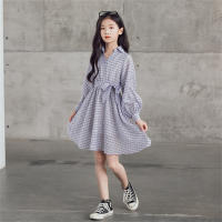 New summer style chiffon dress with long sleeves and lantern sleeves  Purple