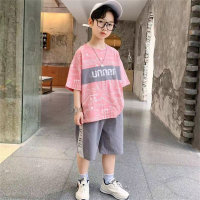 Boys' summer short-sleeved suits, street sports children's clothing  Pink