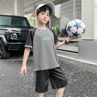Boys two piece suits for middle and large boys summer casual children's suits  Gray