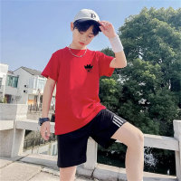 Boys' sports suit summer thin big kids quick-drying short-sleeved shorts two-piece T-shirt  Red
