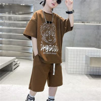Boys summer suits 2024 new boys net celebrity sports middle and large children's summer short sleeves cool handsome fashionable trend  Brown