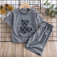 Summer new T-shirts for boys and girls, baby tops for big and medium-sized children, fashionable T-shirts for babies, suits  Gray