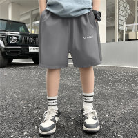 Children's shorts, children's clothing pants, summer outer wear, medium and large children's pants, casual children's pants, boys' medium pants, trendy  Gray