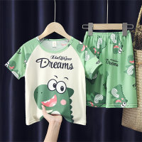 24 años nuevos pijamas para niños para niños y niñas, ropa de hogar para niños de dibujos animados de primavera y verano finos de verano para niños medianos y grandes de manga corta  Verde