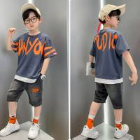 Korean style trendy short-sleeved thin short-sleeved T-shirt for middle and large boys Korean style casual pants two-piece suit  Gray