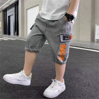 Children's shorts summer thin jeans boys medium and large children's casual shorts  Gray