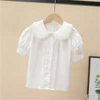 Children's lace versatile large lapel sweet doll collar short-sleeved thin cotton top shirt  White