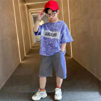 Boys' summer short-sleeved suits, street sports children's clothing  Purple