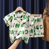 2024 New Ice Silk Pajamas Short Sleeve Shorts Satin Girls Boys Cartoon Summer Air Conditioning Home Clothes  Green