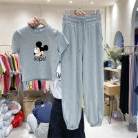 Summer Korean style short-sleeved T-shirt harem pants casual small Chanel style two-piece suit  Gray