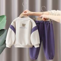 Boys Spring and Autumn Sweatshirt Set 2024 New Autumn Clothes Children's Clothes Baby Boys' Clothes Spring and Autumn Two-piece Set  Purple