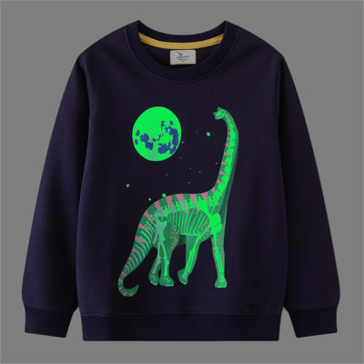 Toddler Boy Pure Cotton Glowing Dinosaur Printed Sweatshirt